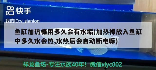 鱼缸加热棒用多久会有水垢(加热棒放入鱼缸中多久水会热,水热后会自动断电嘛)