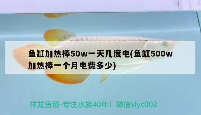 鱼缸加热棒50w一天几度电(鱼缸500w加热棒一个月电费多少) 招财战船鱼