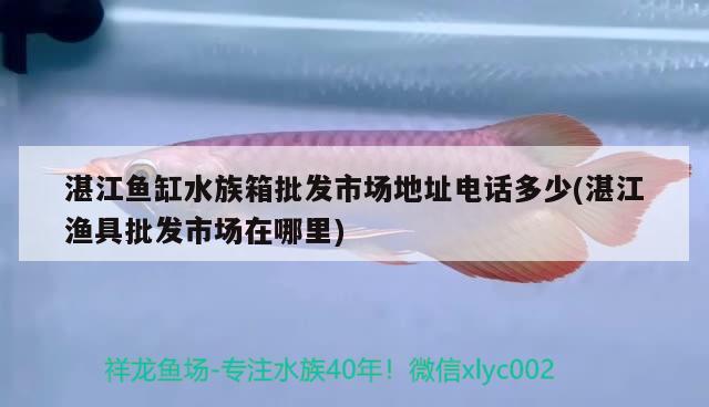 湛江鱼缸水族箱批发市场地址电话多少(湛江渔具批发市场在哪里) 鱼缸/水族箱