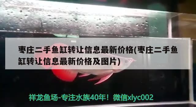 枣庄二手鱼缸转让信息最新价格(枣庄二手鱼缸转让信息最新价格及图片)