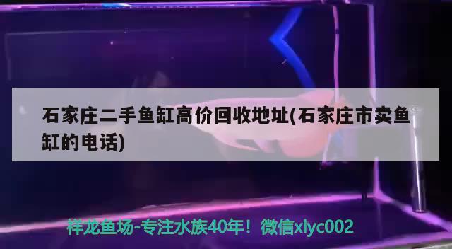 石家庄二手鱼缸高价回收地址(石家庄市卖鱼缸的电话) 祥龙鱼场其他产品