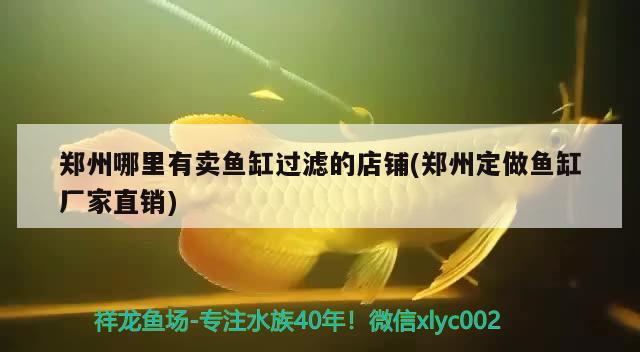 郑州哪里有卖鱼缸过滤的店铺(郑州定做鱼缸厂家直销) 孵化器