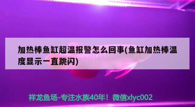 加热棒鱼缸超温报警怎么回事(鱼缸加热棒温度显示一直跳闪) 印尼三纹虎 第3张