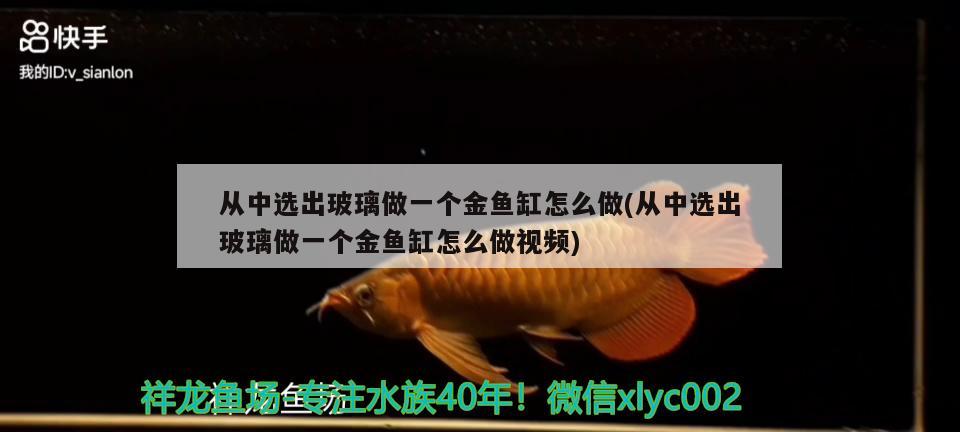 从中选出玻璃做一个金鱼缸怎么做(从中选出玻璃做一个金鱼缸怎么做视频)