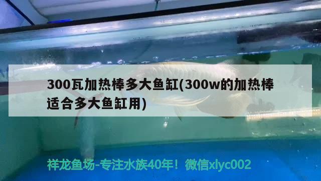 300瓦加热棒多大鱼缸(300w的加热棒适合多大鱼缸用)