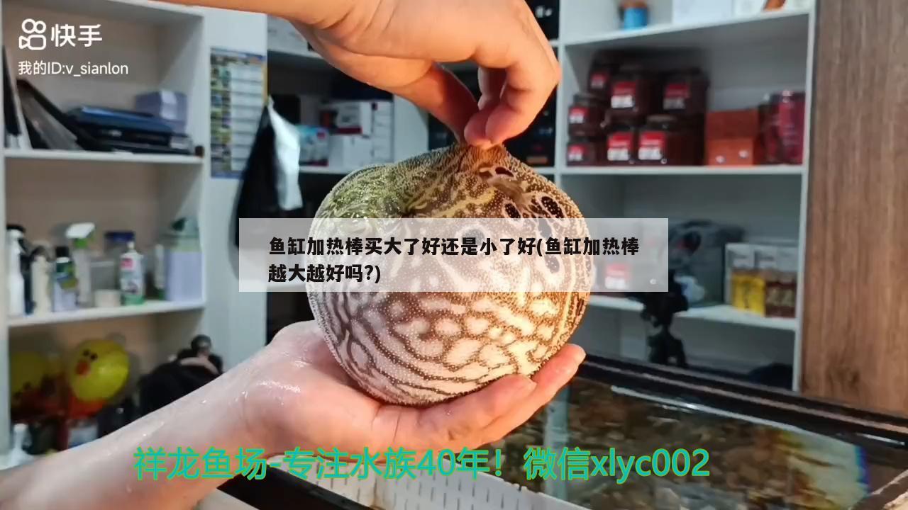 鱼缸加热棒买大了好还是小了好(鱼缸加热棒越大越好吗?)