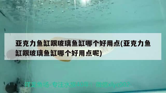 亚克力鱼缸跟玻璃鱼缸哪个好用点(亚克力鱼缸跟玻璃鱼缸哪个好用点呢) 白写锦鲤鱼