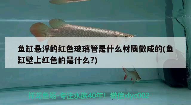 鱼缸悬浮的红色玻璃管是什么材质做成的(鱼缸壁上红色的是什么?) 苏虎