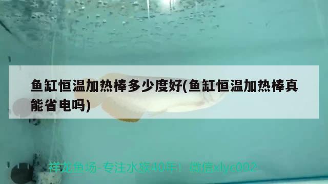 鱼缸恒温加热棒多少度好(鱼缸恒温加热棒真能省电吗) iwish爱唯希品牌鱼缸