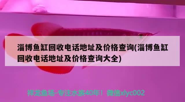 淄博鱼缸回收电话地址及价格查询(淄博鱼缸回收电话地址及价格查询大全)