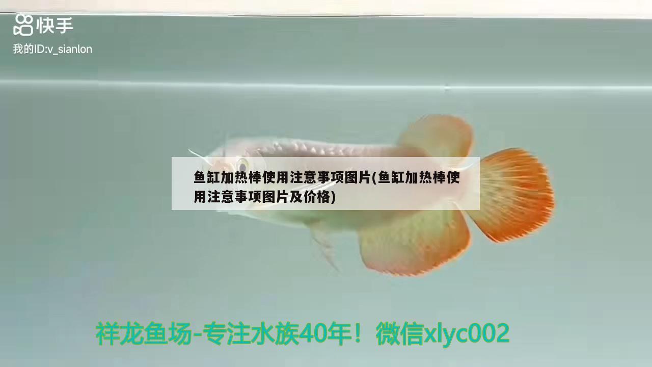 鱼缸加热棒使用注意事项图片(鱼缸加热棒使用注意事项图片及价格) 祥龙水族护理水