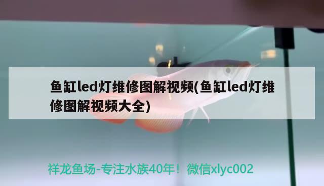 鱼缸led灯维修图解视频(鱼缸led灯维修图解视频大全) 白化巴西龟（白巴）