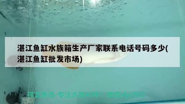 湛江鱼缸水族箱生产厂家联系电话号码多少(湛江鱼缸批发市场) 鱼缸/水族箱