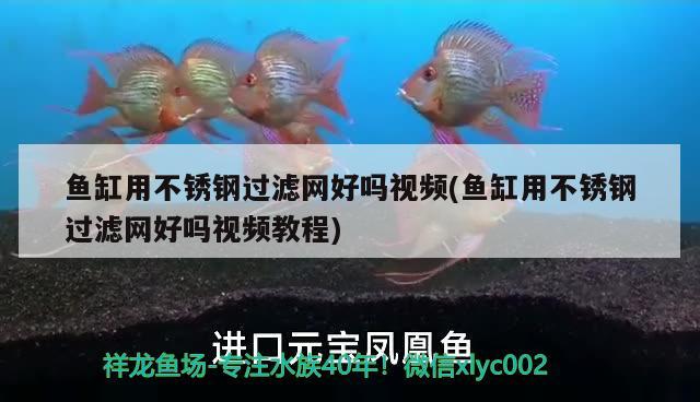 鱼缸用不锈钢过滤网好吗视频(鱼缸用不锈钢过滤网好吗视频教程)