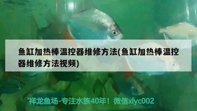 鱼缸加热棒温控器维修方法(鱼缸加热棒温控器维修方法视频)