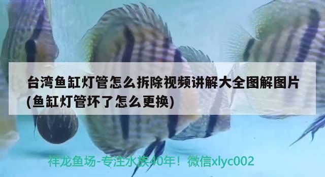 台湾鱼缸灯管怎么拆除视频讲解大全图解图片(鱼缸灯管坏了怎么更换) 金头过背金龙鱼