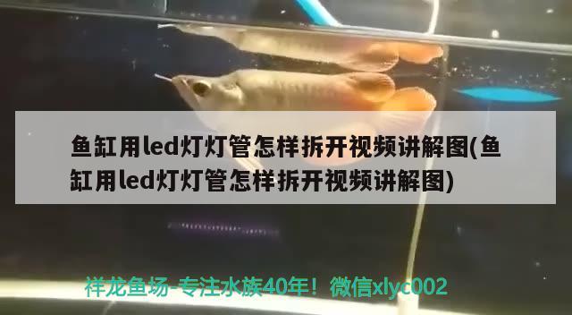 鱼缸用led灯灯管怎样拆开视频讲解图(鱼缸用led灯灯管怎样拆开视频讲解图)