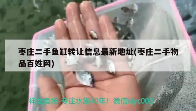 枣庄二手鱼缸转让信息最新地址(枣庄二手物品百姓网)