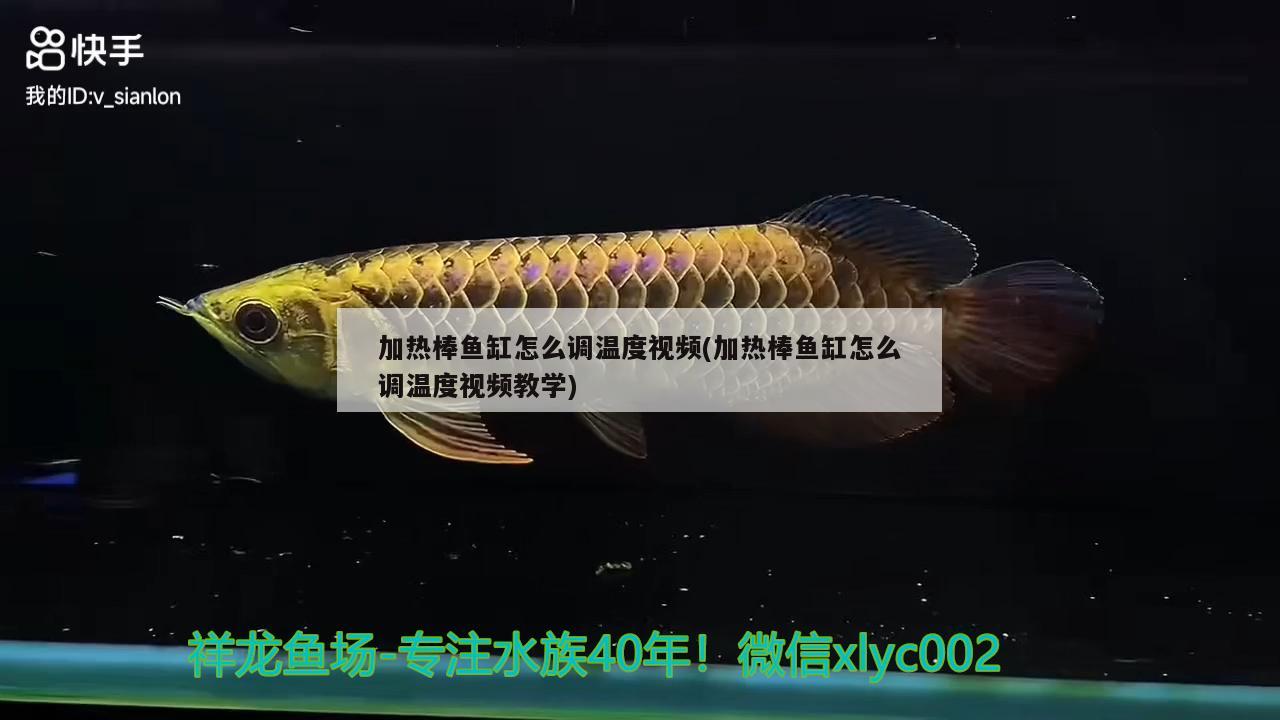 加热棒鱼缸怎么调温度视频(加热棒鱼缸怎么调温度视频教学)