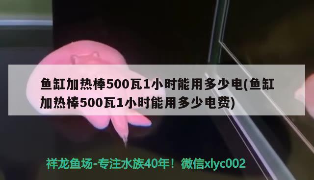 鱼缸加热棒500瓦1小时能用多少电(鱼缸加热棒500瓦1小时能用多少电费)