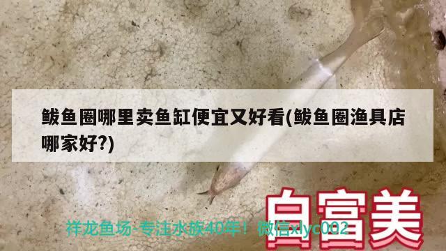 鲅鱼圈哪里卖鱼缸便宜又好看(鲅鱼圈渔具店哪家好?) 观赏鱼进出口