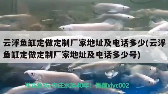 云浮鱼缸定做定制厂家地址及电话多少(云浮鱼缸定做定制厂家地址及电话多少号)