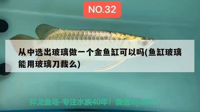 从中选出玻璃做一个金鱼缸可以吗(鱼缸玻璃能用玻璃刀裁么) iwish爱唯希品牌鱼缸