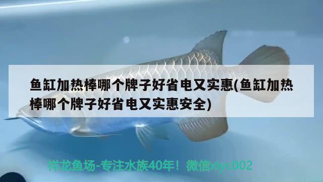 鱼缸加热棒哪个牌子好省电又实惠(鱼缸加热棒哪个牌子好省电又实惠安全) 观赏鱼市场