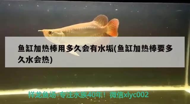 鱼缸加热棒用多久会有水垢(鱼缸加热棒要多久水会热)