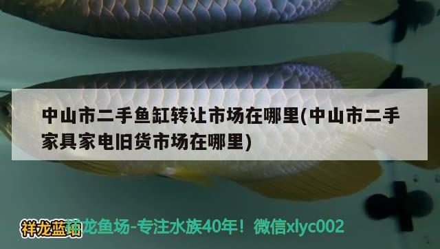 中山市二手鱼缸转让市场在哪里(中山市二手家具家电旧货市场在哪里) 热带鱼鱼苗批发