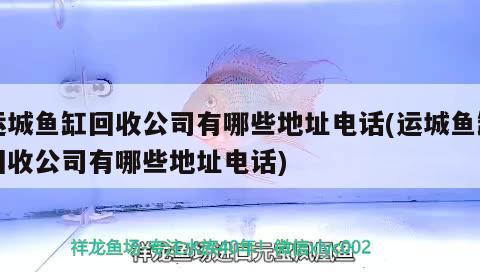 运城鱼缸回收公司有哪些地址电话(运城鱼缸回收公司有哪些地址电话)