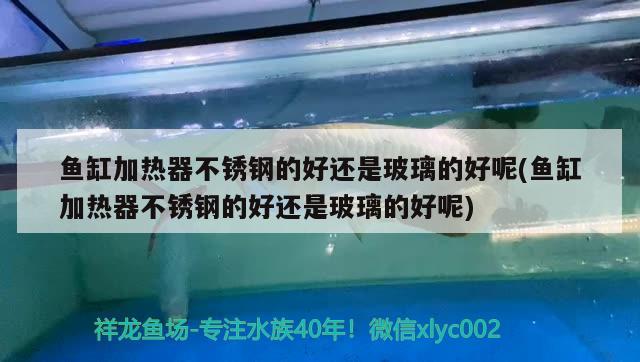 鱼缸加热器不锈钢的好还是玻璃的好呢(鱼缸加热器不锈钢的好还是玻璃的好呢)