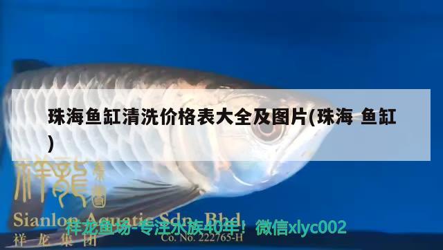 珠海鱼缸清洗价格表大全及图片(珠海鱼缸) 黑云鱼