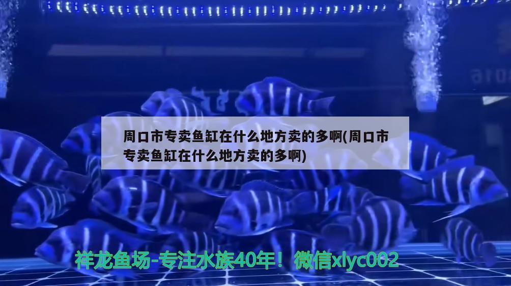 周口市专卖鱼缸在什么地方卖的多啊(周口市专卖鱼缸在什么地方卖的多啊) 魟鱼百科 第2张