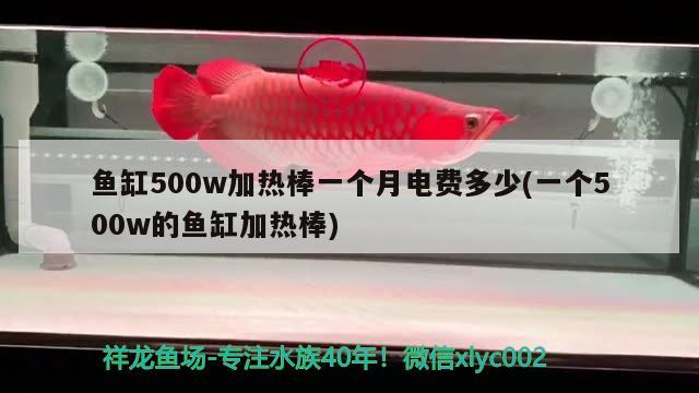 鱼缸500w加热棒一个月电费多少(一个500w的鱼缸加热棒)