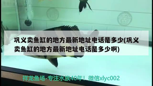 巩义卖鱼缸的地方最新地址电话是多少(巩义卖鱼缸的地方最新地址电话是多少啊) 其它水族用具设备