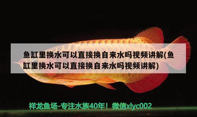 鱼缸里换水可以直接换自来水吗视频讲解(鱼缸里换水可以直接换自来水吗视频讲解)