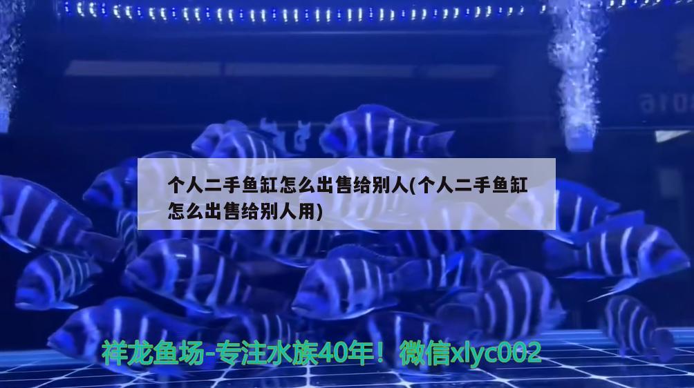 个人二手鱼缸怎么出售给别人(个人二手鱼缸怎么出售给别人用) 稀有金龙鱼