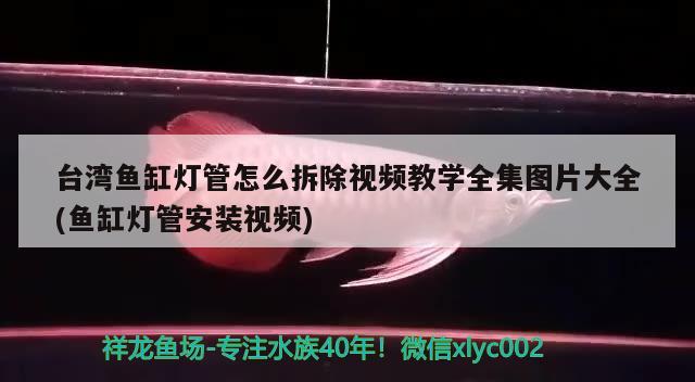 台湾鱼缸灯管怎么拆除视频教学全集图片大全(鱼缸灯管安装视频)