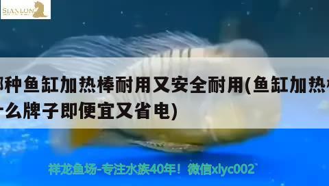 哪种鱼缸加热棒耐用又安全耐用(鱼缸加热棒什么牌子即便宜又省电)