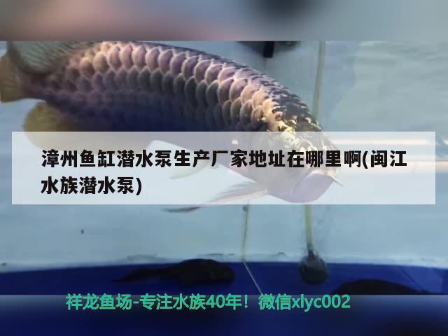 漳州鱼缸潜水泵生产厂家地址在哪里啊(闽江水族潜水泵) 龙鱼百科