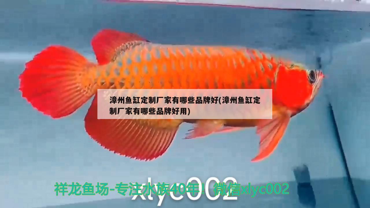 漳州鱼缸定制厂家有哪些品牌好(漳州鱼缸定制厂家有哪些品牌好用) 委内瑞拉奥里诺三间鱼