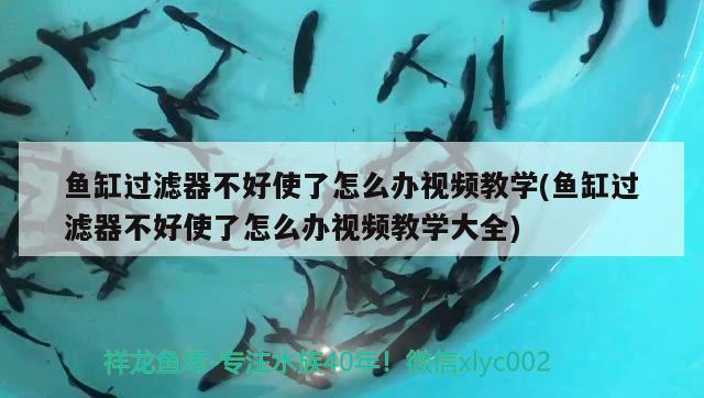 鱼缸过滤器不好使了怎么办视频教学(鱼缸过滤器不好使了怎么办视频教学大全)