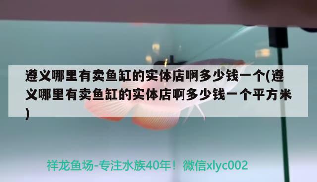 遵义哪里有卖鱼缸的实体店啊多少钱一个(遵义哪里有卖鱼缸的实体店啊多少钱一个平方米) 红魔王银版鱼