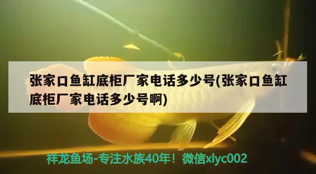 张家口鱼缸底柜厂家电话多少号(张家口鱼缸底柜厂家电话多少号啊)