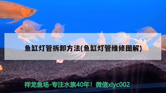 鱼缸灯管拆卸方法(鱼缸灯管维修图解) 鱼缸水泵