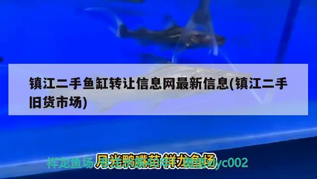 镇江二手鱼缸转让信息网最新信息(镇江二手旧货市场) 羽毛刀鱼苗