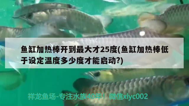 鱼缸加热棒开到最大才25度(鱼缸加热棒低于设定温度多少度才能启动?) 观赏鱼百科