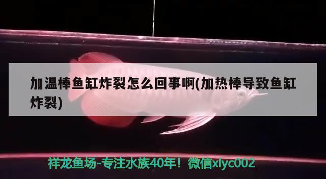 加温棒鱼缸炸裂怎么回事啊(加热棒导致鱼缸炸裂) 一眉道人鱼苗