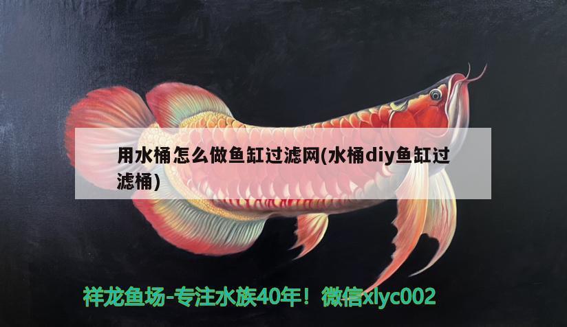 用水桶怎么做鱼缸过滤网(水桶diy鱼缸过滤桶)